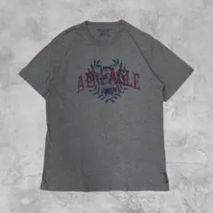 American Eagle グラフィックロゴ Tシャツ カレッジ風