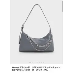 CHARLES & KEITH バッグ グレー