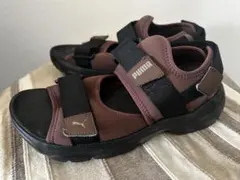 Item thumbnail for item 17d219b1-db67-418b-87ef-4f4ad825dc3e