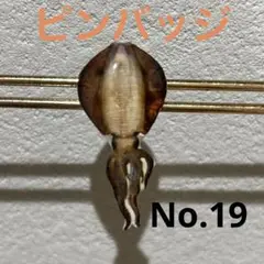 魚ピンバッジ　　　アオリイカver