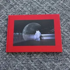 Item thumbnail for item c1265f91-e6d0-4b78-b602-a30812f12c5f