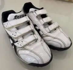 Item thumbnail for item 66c752d4-619e-43c2-9ad7-00e8961a5c72