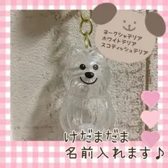 けだまだま　トイプードル　マルチーズ　キーホルダー　犬ガチャガチャ