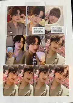 &team 雪明かり global ユニバ アニマル ウィジュ EJ 10枚