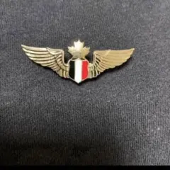 2026年最新】勲章ピンバッジの人気アイテム - メルカリ