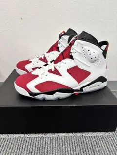 NIKE Air Jordan 6 Retro Carmine 29.5cm