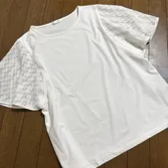 グラシア　ホワイトカットソー（美品）のサムネイル