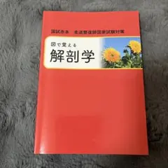 pikomiko様 リクエスト 3点 まとめ商品