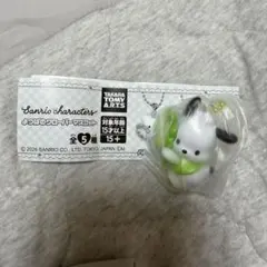 サンリオ　ポチャッコ