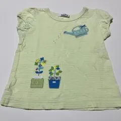 familiar フリル袖Tシャツ ライトグリーン