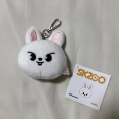 SKZOO クッション フェイスクッション リービット リノ Stray Kids リノ SKZOO Leebit フェイス クッション - メルカリ