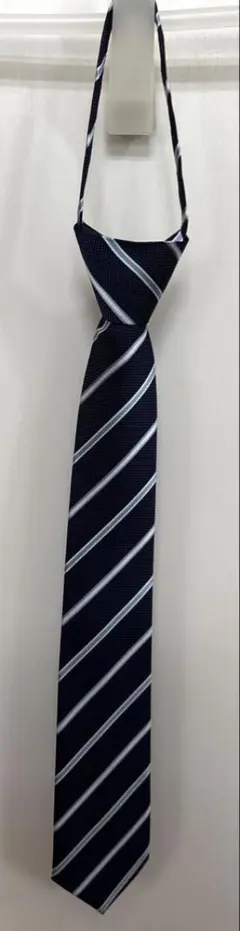 Item thumbnail for item 649641fb-6efd-46db-9688-7cf037274a35