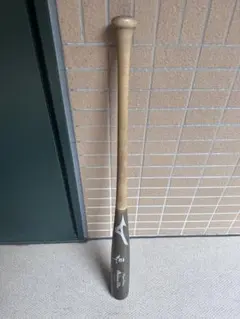 巨人　亀井　元選手　Mizuno Pro 木製バット サイン入り メルカリ