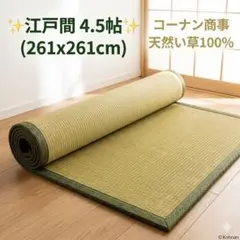 2026年最新】い草 ラグ 4.5 畳の人気アイテム - メルカリ