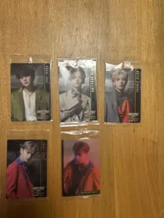 バトルテーマ トレーディングカード 5枚セット