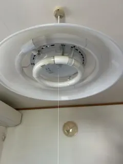 Item thumbnail for item eaef6a47-ae26-4315-ae64-6fdf41ae314b