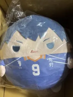 ハイキュー!! ぬいくじ B賞 ふわコロりん BIG 影山