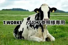 オレンジ5、タン濃5