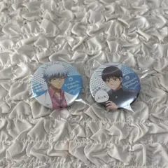 銀魂 銀八先生 缶バッチコレクション 坂田銀時 志村新八