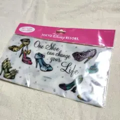 東京ディズニーリゾート チケットケース　プリンセス