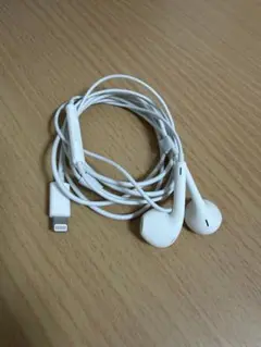Apple純正Lightning EarPods