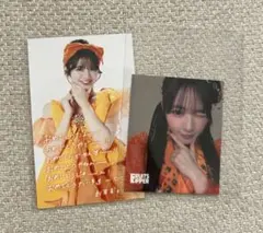 【匿名配送】FRUITSZIPPER 鎮西寿々歌 カード・ステッカーセット