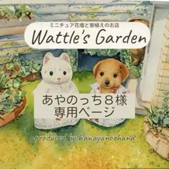 あやのっち8様 リクエスト 3点 まとめ商品