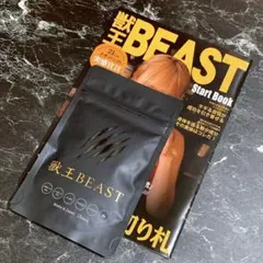 Item thumbnail for item 15026a6e-9adb-49ba-8c88-4487ff53c782