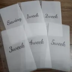 貯金リフィル savingファイル weekly