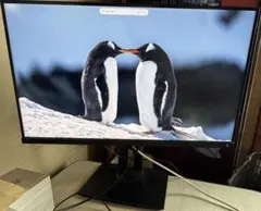 ViewSonic、VP2785-2K、27型ディスプレイのサムネイル