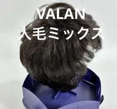 2026年最新】フォンテーヌ VALAN フルウイッグの人気アイテム - メルカリ