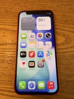 Apple iPhone 12 mini (PRODUCT RED) 本体