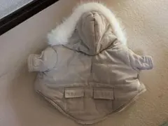 Item thumbnail for item 38a32695-27a3-4b4a-87e3-365de45728a4