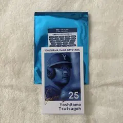 横浜DeNAベイスターズ 筒香嘉智選手 ブラインド インスタントフォトカード