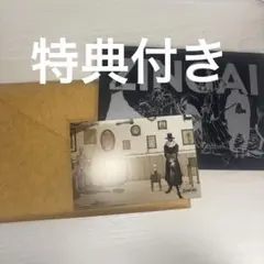 ZINGAI Eve イラストブック