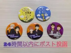 ハイキュー!! 缶バッジ風ミラー 5個セット