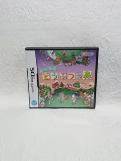 DS ニンテンドーDS おいでよ どうぶつの森 レトロ ゲーム ゲームソフト