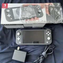 Nintendo Switch Lite グレー 本体 ACアダプター付き 中古 - メルカリ