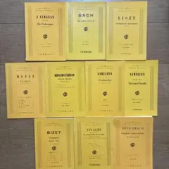 Item thumbnail for item 63f09584-07f2-478f-bbfb-c9e727966c0a