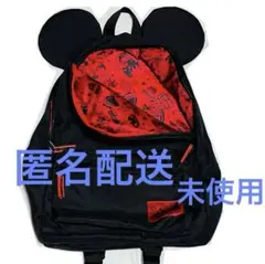 ディズニーリゾート　裏地　総柄　赤　レア　ミッキー耳付き　リュック　バックパックのサムネイル