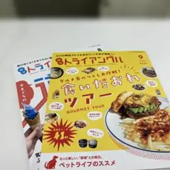 ドライブイングル 9月号 & 8月号 セット