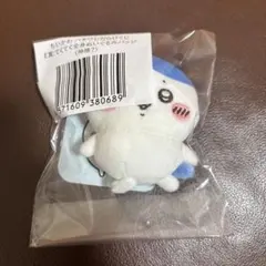 ハチワレだらけくじ E賞 てくてく全身ぬいぐるみバッジ　神様