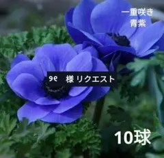 メルカリ便/୨୧【値下げコメント禁止プロフ必読】様 リクエスト 2点 まとめ商品