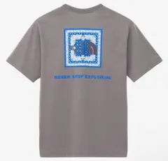 【新品】ノースフェイス　ショートスリーブバンダナスクエアロゴティー S