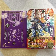 ふつつかな悪女ではございますが１２　～雛宮蝶鼠とりかえ伝～　小冊子付特装版