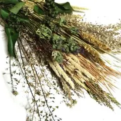 最終春待ちSALE〜素朴で自然な野草草花と木の実のセット＊ ドライフラワー⑦