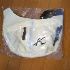 Item thumbnail for item 6091ad71-11fd-4745-8a4c-0b54660d048e