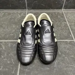 adidas スニーカー メタリックグレー　テコンドー　TEKONDO Wのサムネイル