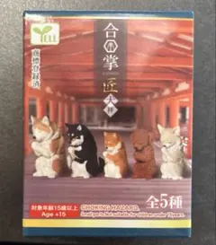 合掌　匠　犬拝　チワワ　柴犬