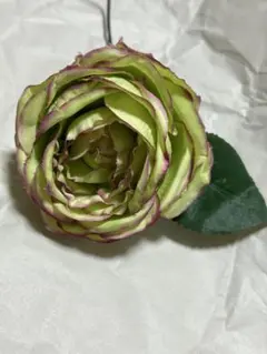 フラメンコフローレス